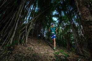 BIB: 
                            <button type="button" onclick="openModal(19395353)" class="btn btn-primary btn-sm float-right btn-popup" data-toggle="modal" data-target=".modal-high-quality">
                        <i class="fas fa-shopping-cart"></i> Add to Cart
                    </button>
                                            <button type="button" onclick="isThisMe(19395353, true)" class="btn btn-success btn-sm float-right btn-popup btn-isme hidden" data-toggle="tooltip" data-placement="bottom" title="นี่คือรูปของคุณใช่ไหม คลิกที่นี่เพื่อเอาเข้าอัลบั้ม">
                        <i class="fas fa-plus"></i> Add to album
                    </button>
                    <button type="button" onclick="isThisMe(19395353, false)" class="btn btn-warning btn-sm float-right btn-popup btn-isnotme hidden">
                        <i class="fas fa-ban"></i> Remove from album
                    </button>